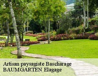 Artisan paysagiste  bascharage-4959 BAUMGARTEN Elagage