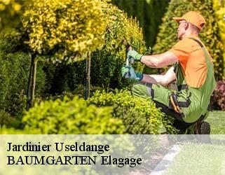 Jardinier  useldange- BAUMGARTEN Elagage