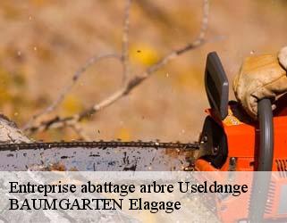 Entreprise abattage arbre  useldange- BAUMGARTEN Elagage